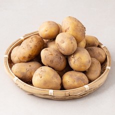 곰곰 골든킹 서산 금왕감자, 2kg, 1봉