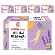 우리차 송원식품 배도라지 맥문동차 티백, 5개, 20개입, 1g