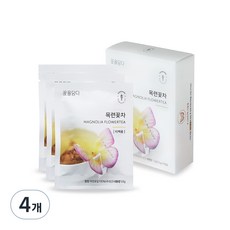 꽃을담다 나비티백 목련꽃차, 500mg, 3개입, 4개