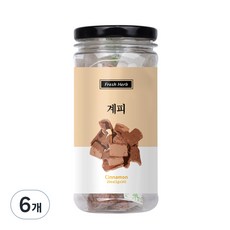 신선약초 계피차 삼각티백, 1g, 20개입, 6개