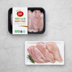 올품 동물복지 인증 가슴살, 500g, 1팩