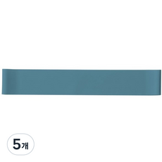 앳플리 코어 루프밴드 LEVEL 4, 베릴그린, 5개