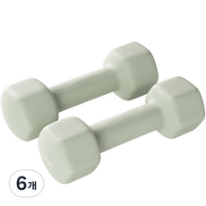 앳플리 LW 미용 아령, 3kg, 6개