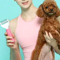 제스파바이브러쉬