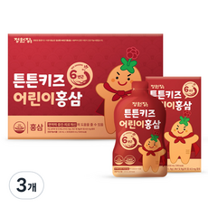 정원장 튼튼키즈 어린이 홍삼, 600ml, 3개 3개, 600ml