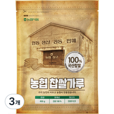 농협식품 농협 찹쌀가루, 3개, 400g