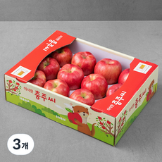 아삭한 충주씨 당도선별 사과, 3kg(12~14입), 3개
