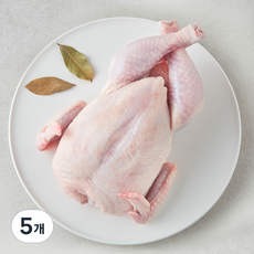 무항생제 인증 1등급 닭백숙용 (냉장), 1050g, 5개