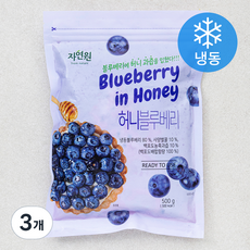 자연원 허니 블루베리 (냉동), 500g, 3개