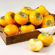 푸드베이스 산지직송 푸드베이스 부유단감, 5kg(25~30입), 1개