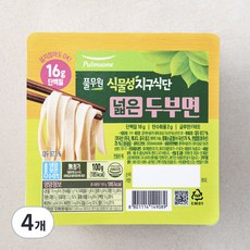 풀무원 식물성지구식단 두부면 넓은면, 100g, 4개