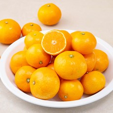 새콤달콤함이 가득한 제주감귤, 2kg, 1팩