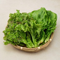 유기농 반반상추, 200g, 1봉