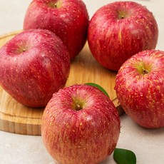 곰곰 청송 저탄소인증 고당도 사과 (4~6입), 1kg, 1봉