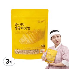 백년농가 상황버섯쌀, 400g, 3개