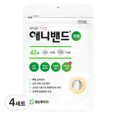 경동제약 애니밴드 반창고 원형 1cm 30p + 1cm 12p 세트, 42개, 4세트