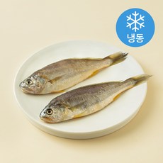 품질인증 초록바다 영광 굴비 (냉동), 1개, 240g(2미)