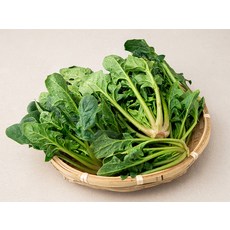 국내산 시금치, 300g, 1봉