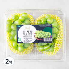 진시황 GAP 인증 비파괴당도선별 샤인머스켓, 2팩, 1kg