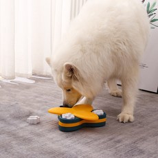 tv동물농장반려견자동노즈워크