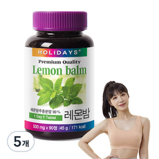 스키니랩 이너컷 오비엑스 레몬밤 다이어트 30정 4박스 상품 이미지