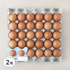 농협 신선 특란 1800g, 2개, 30구 2개, 30구