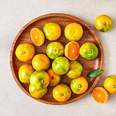 당도선별 11brix 감귤, 1.2kg(꼬마과), 1개