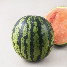 애플수박, 1.2kg, 1개
