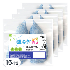 뽀송한데이 대나무숯 신발제습제 블루 2p, 80g, 16개입