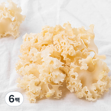 친환경 꽃송이버섯, 6팩, 80g
