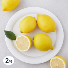 곰곰 제주 레몬, 500g, 2팩