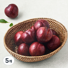 아주마 저탄소 인증 산지직송 영동 피자두, 5개, 1kg