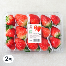 광식이농장 GAP 인증 광식이네 설향 딸기, 500g, 2팩