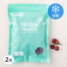 국산 산딸기 (냉동), 300g, 2개