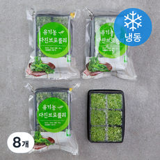 우리땅 웰팜넷 유기가공식품 인증 다진브로콜리 (냉동)