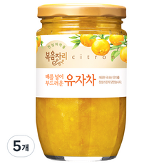 복음자리 배를 넣어 부드러운 유자차, 480g, 1개입, 5개