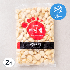 마당발 알마늘 (냉동), 1kg, 2개