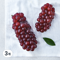 곰곰 고당도 델라웨어 포도, 200g, 3개