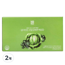 움움 갈아만든 리얼 양배추케일즙 20p, 2개, 2L