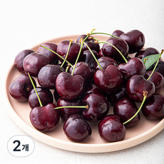 캐나다산 체리, 2개, 500g