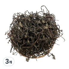 햇살팜 건고사리, 100g, 3개