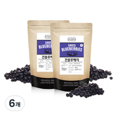 넛츠앤베리스 건블루베리, 150g, 6개