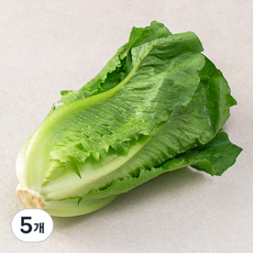 국내산 로메인, 250g, 5개