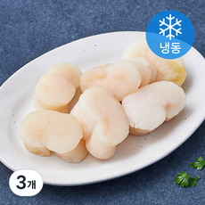 살맛나요 키조개 관자 (냉동), 3개, 400g