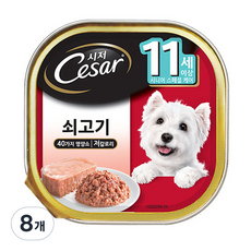 시저 11세 이상 시니어 강아지 주식캔, 소, 100g, 8개