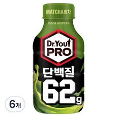 닥터유 단백질 드링크 말차 62g, 450ml, 6개