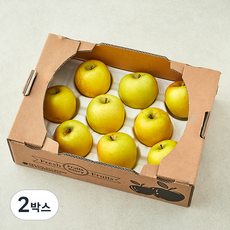 시나노골드 사과, 2kg (9~10입), 2박스