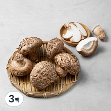 GAP 인증 청양 표고버섯 화고, 200g, 3팩
