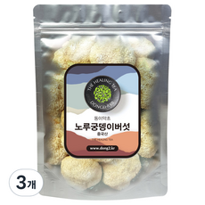 동이약초 중국산 노루궁뎅이버섯, 150g, 3개
