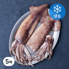 곰곰 손질 통오징어 (냉동), 320g(2미), 5팩